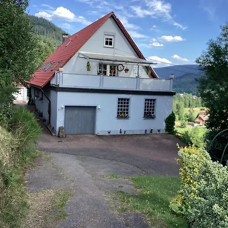 Ferienwohnung Altes Berghaus Obertal  Exterior foto