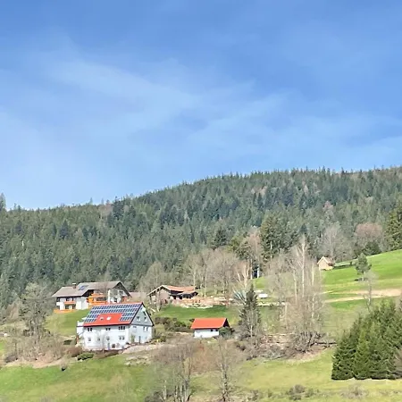 Ferienwohnung Altes Berghaus Obertal  Exterior foto