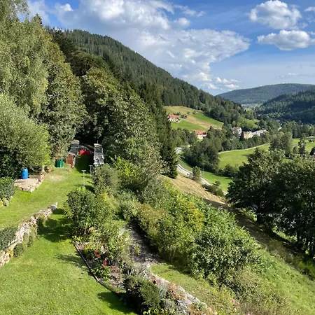 Ferienwohnung Altes Berghaus Obertal  Exterior foto