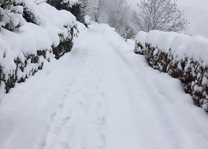 Altes Berghaus