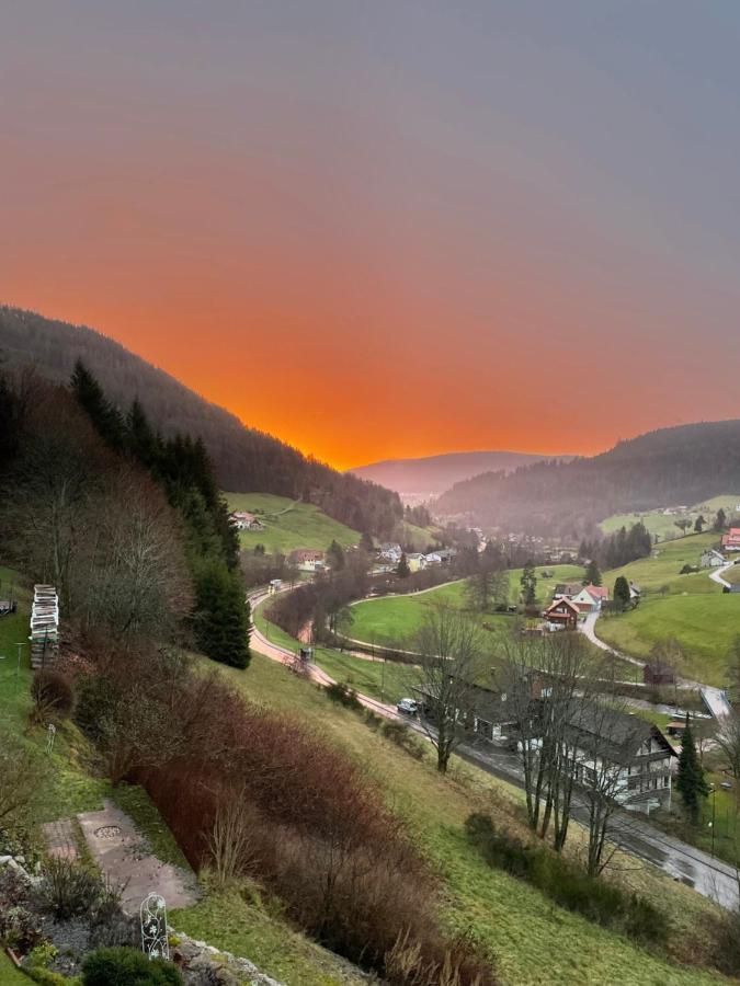 Apartment Altes Berghaus Obertal (Karlsruhe)